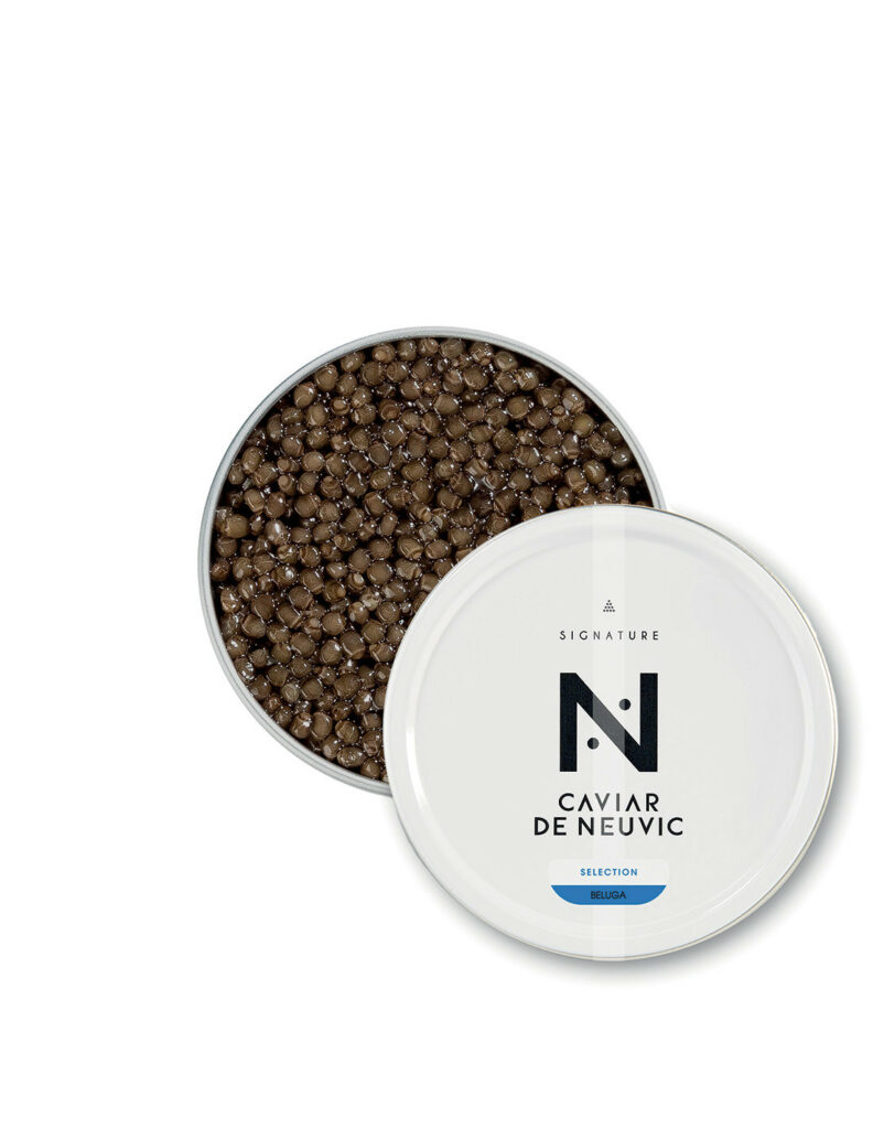 caviar beluga signature
