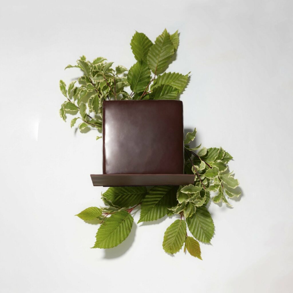 gateau aux chocolats